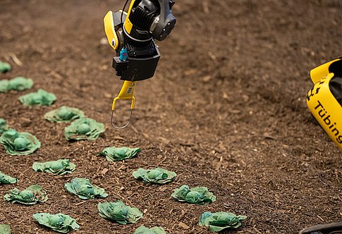 Field in lab setting with robot weeding